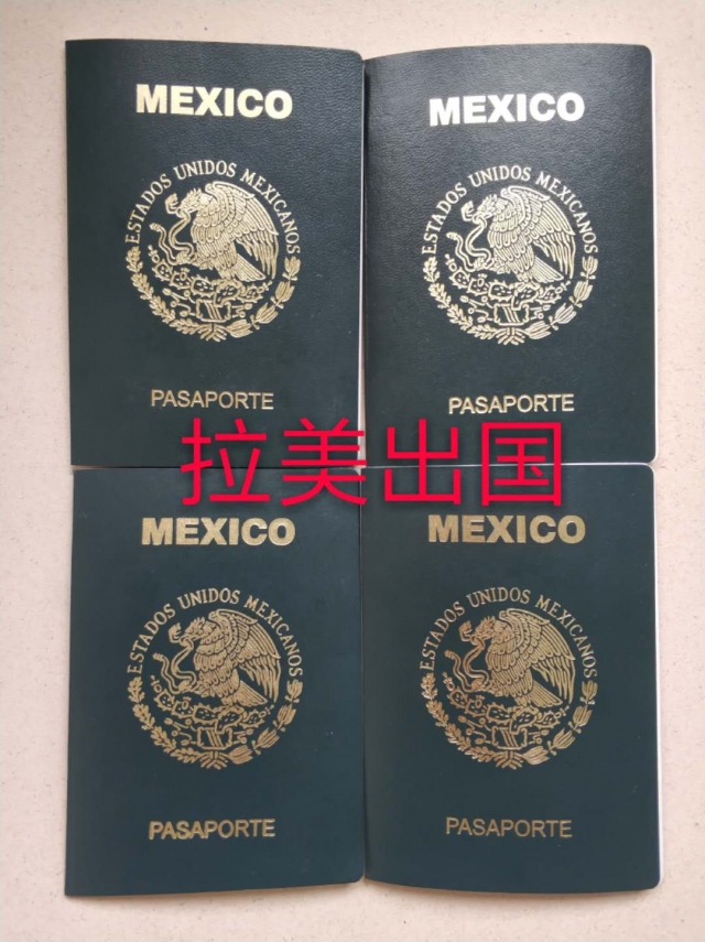 墨西哥护照