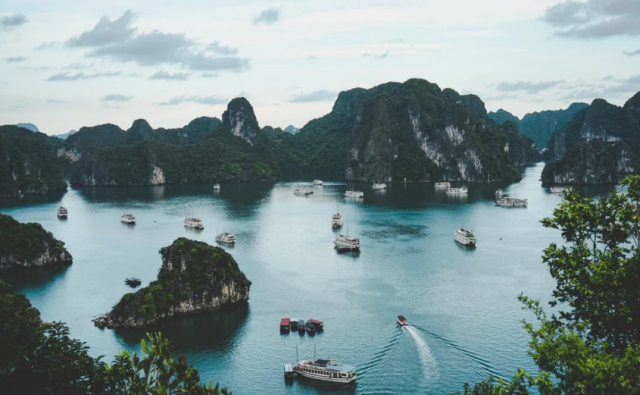越南护照：成功案例
